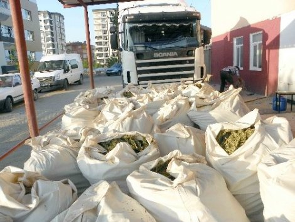 Osmaniye\'de 1 Ton 625 Kilogram Esrar Ele Geçirildi