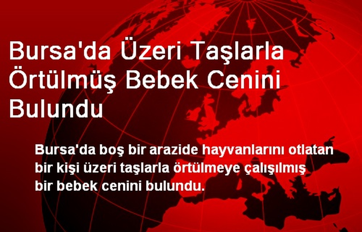 Bursa\'da Üzeri Taşlarla Örtülmüş Bebek Cenini Bulundu