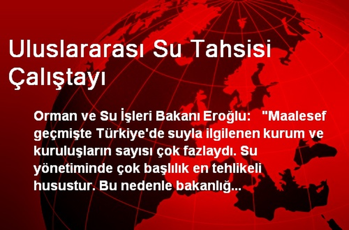 Uluslararası Su Tahsisi Çalıştayı
