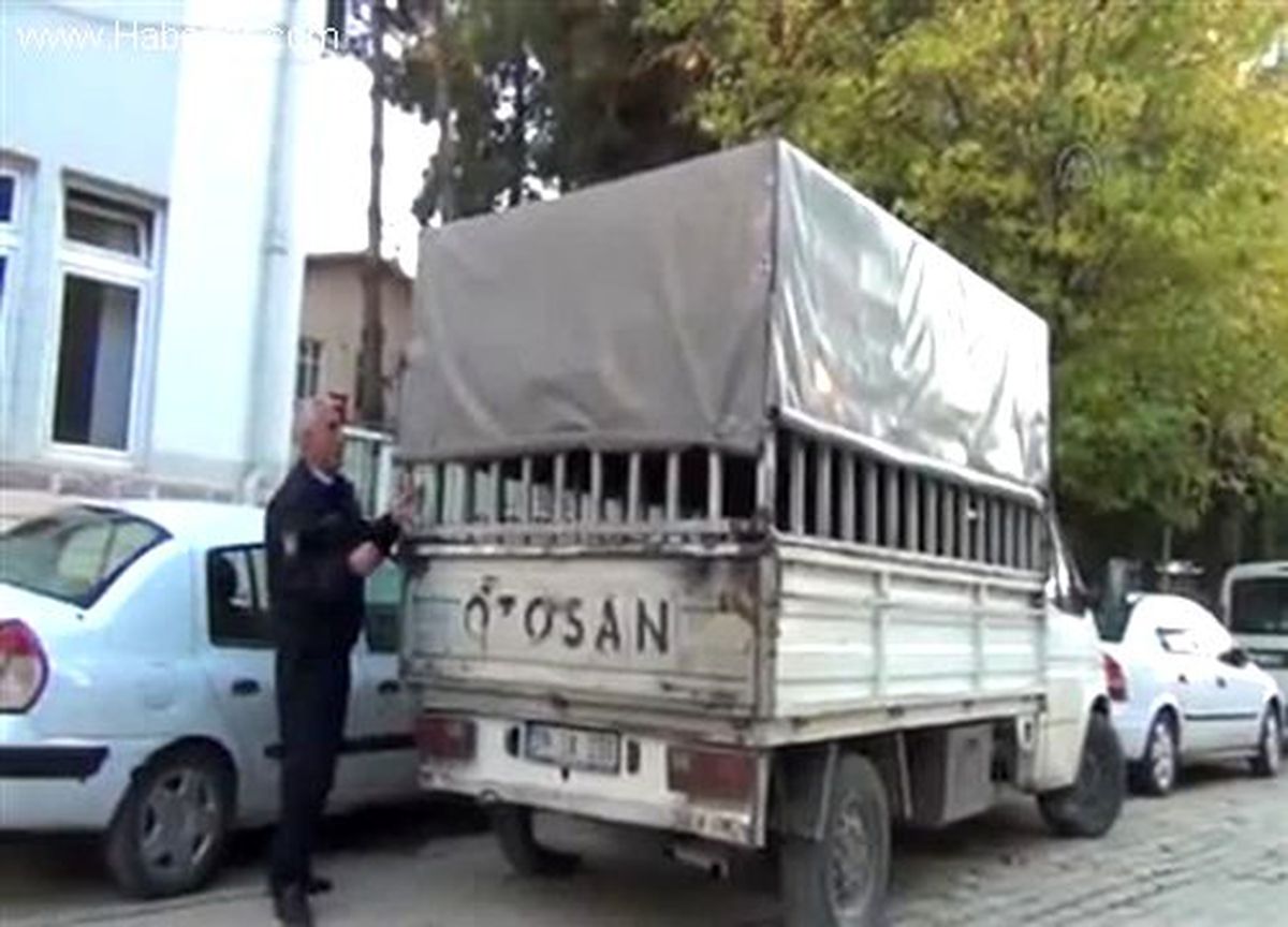 Sigara kaçakçılığı operasyonu