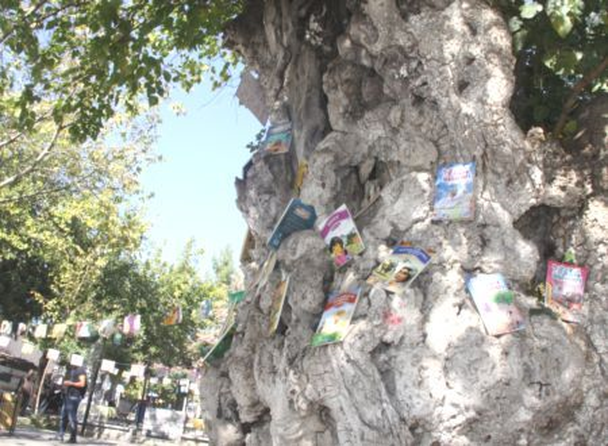 "Siverek Okuyor Kampanyası"