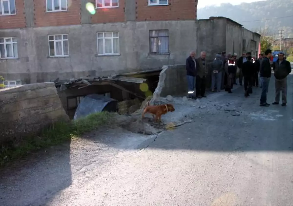 Tır'dan Düşen 11 Tonluk Sac Ahıra Girdi, İnek Telef Oldu