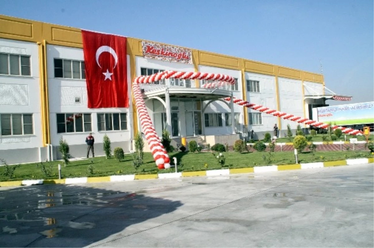 Türkiye\'nin En Büyük Yumurta Üretim Tesisi Akhisar\'da