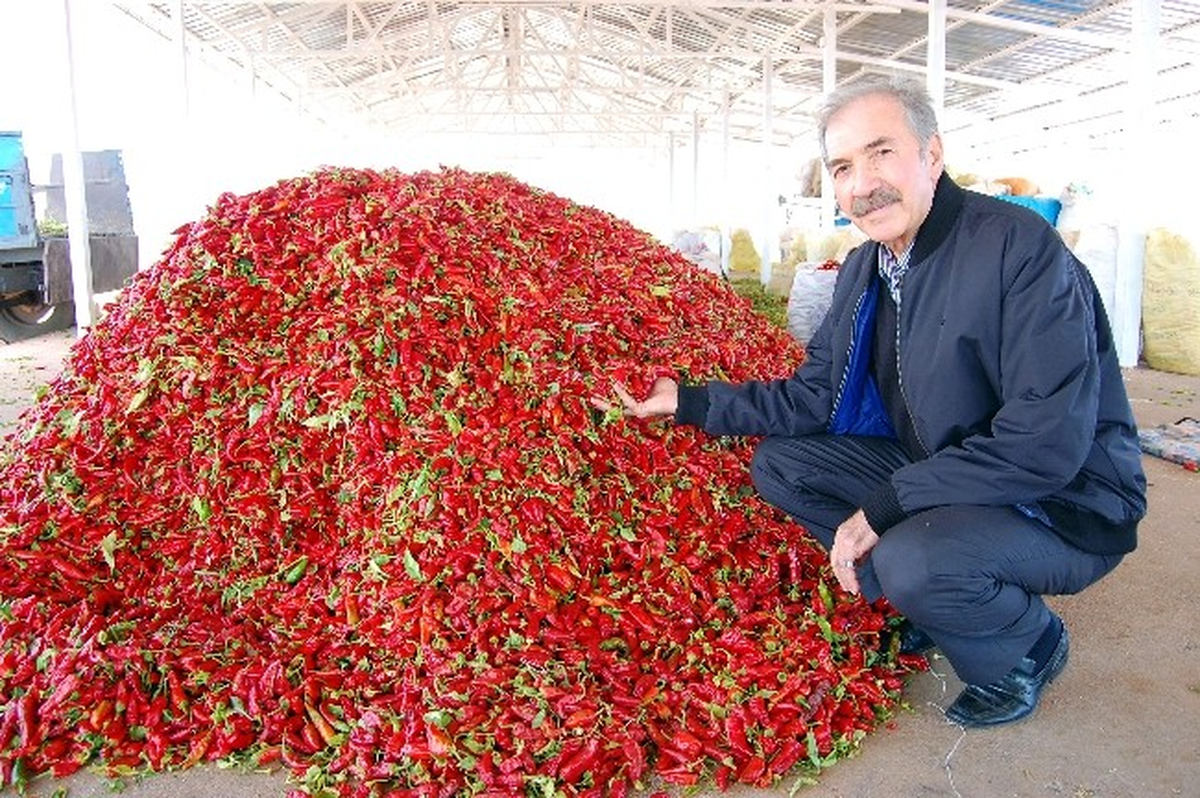 Adıyaman, Biberin Merkezi Olma Yolunda