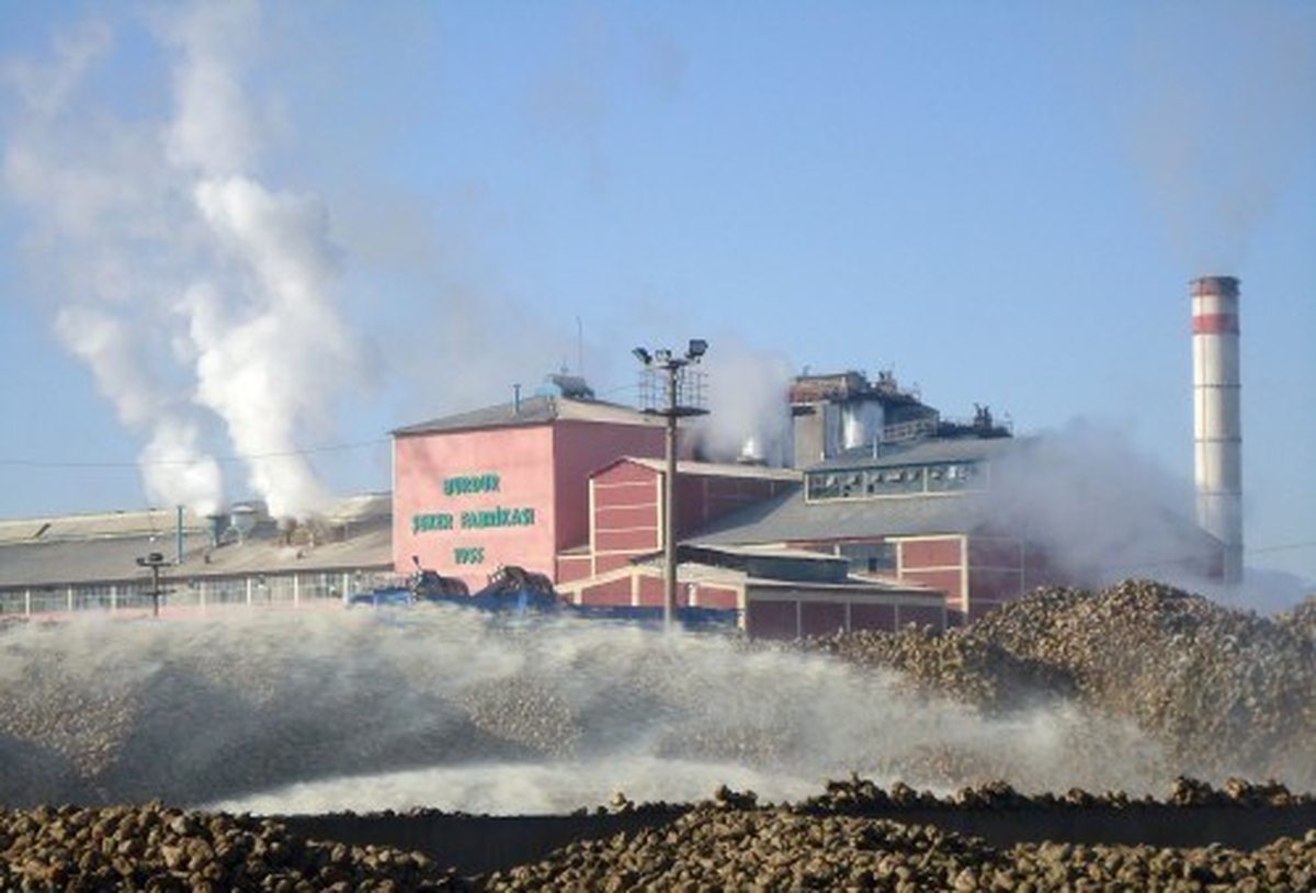 Burdur Şeker Fabrikasından Ekonomiye 250 Milyon Lira