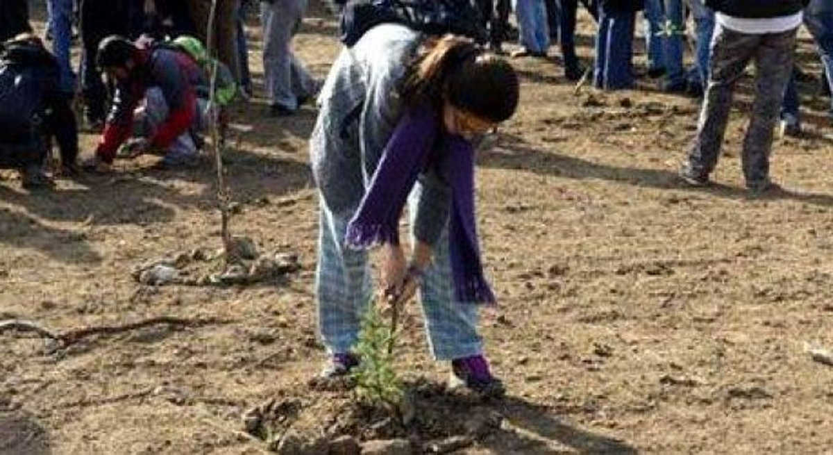 İTÜ\'de Sökülen Fidanlara Tepki Gösteren Öğrencilere Soruşturma