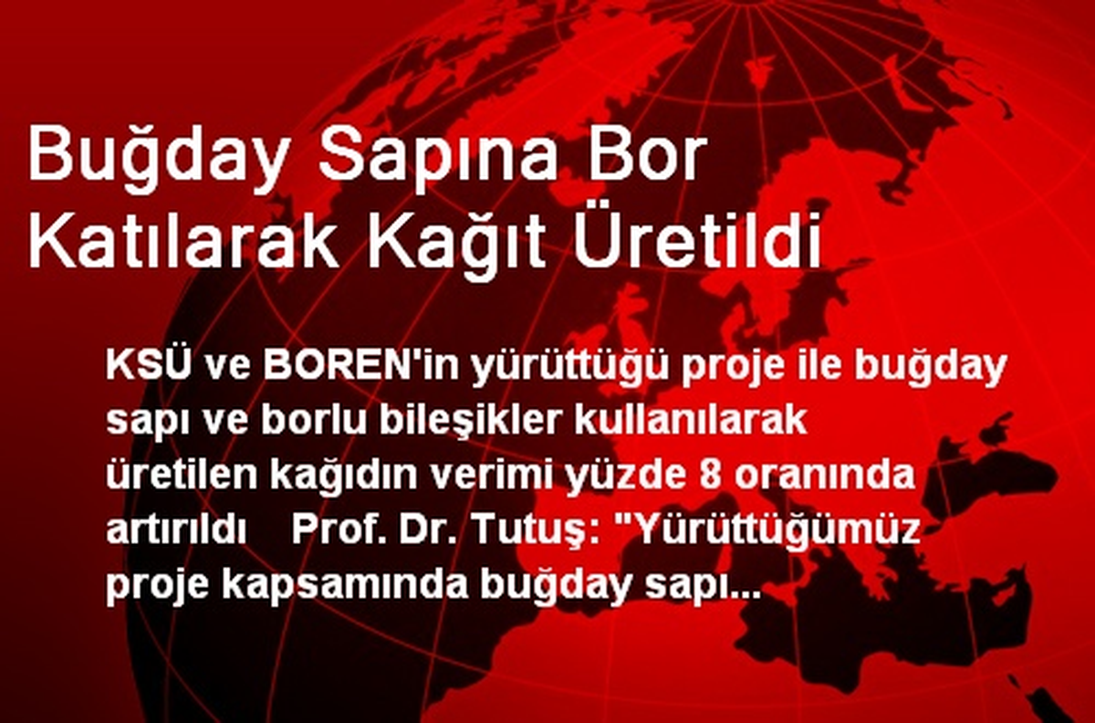 Buğday Sapına Bor Katılarak Kağıt Üretildi