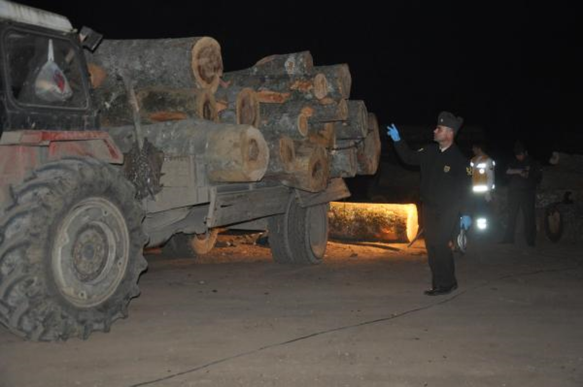 Düzce\'de Tomruğun Altında Kalan Adam Hayatını Kaybetti