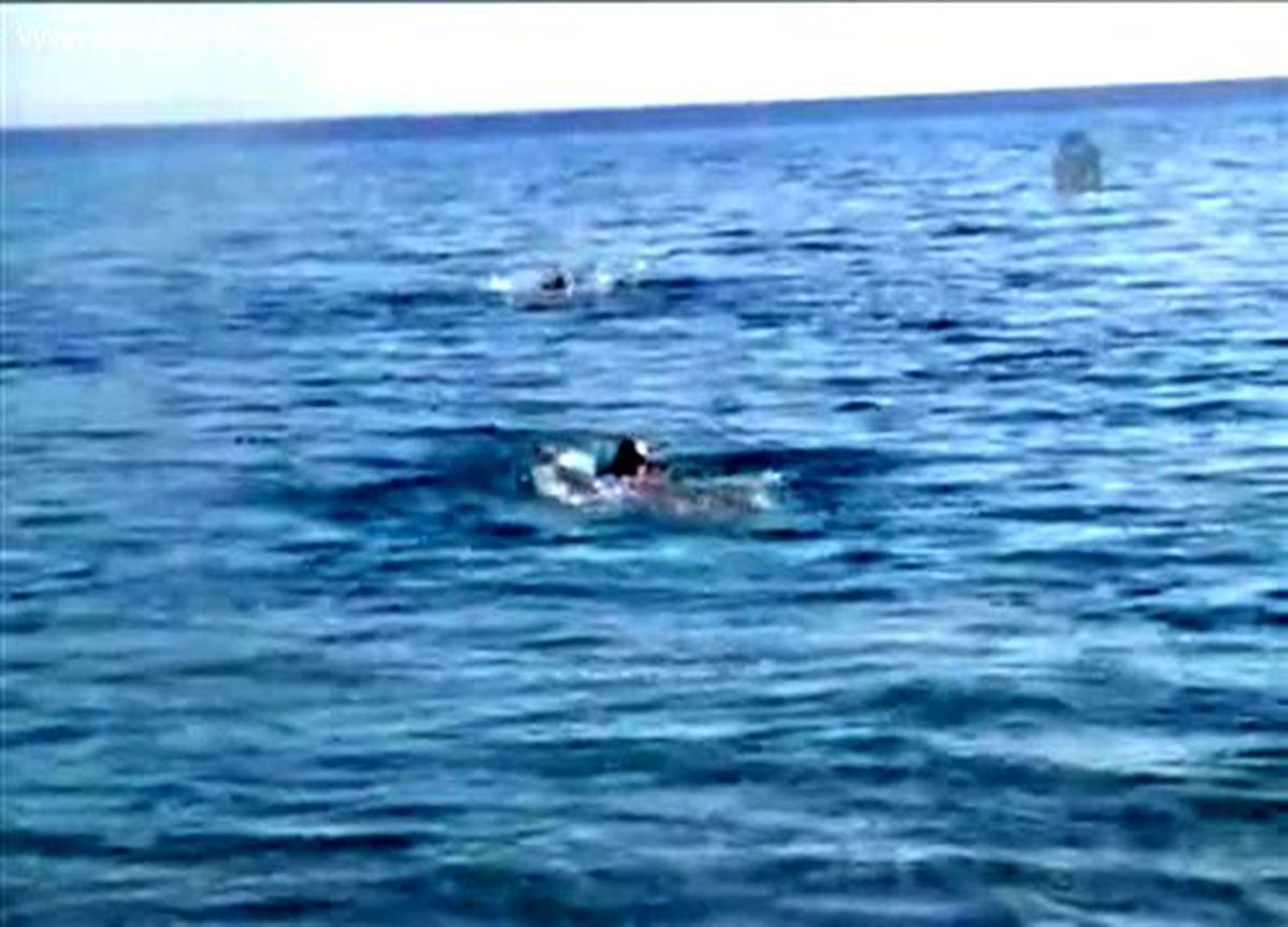 Antalya\'nın sonbaharı ilkbaharı aratmadı