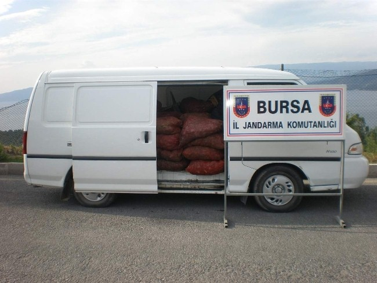 Bursa\'da Jandarma 10 Ayda 99 Ton Kaçak Deniz Ürünü Ele Geçirdi