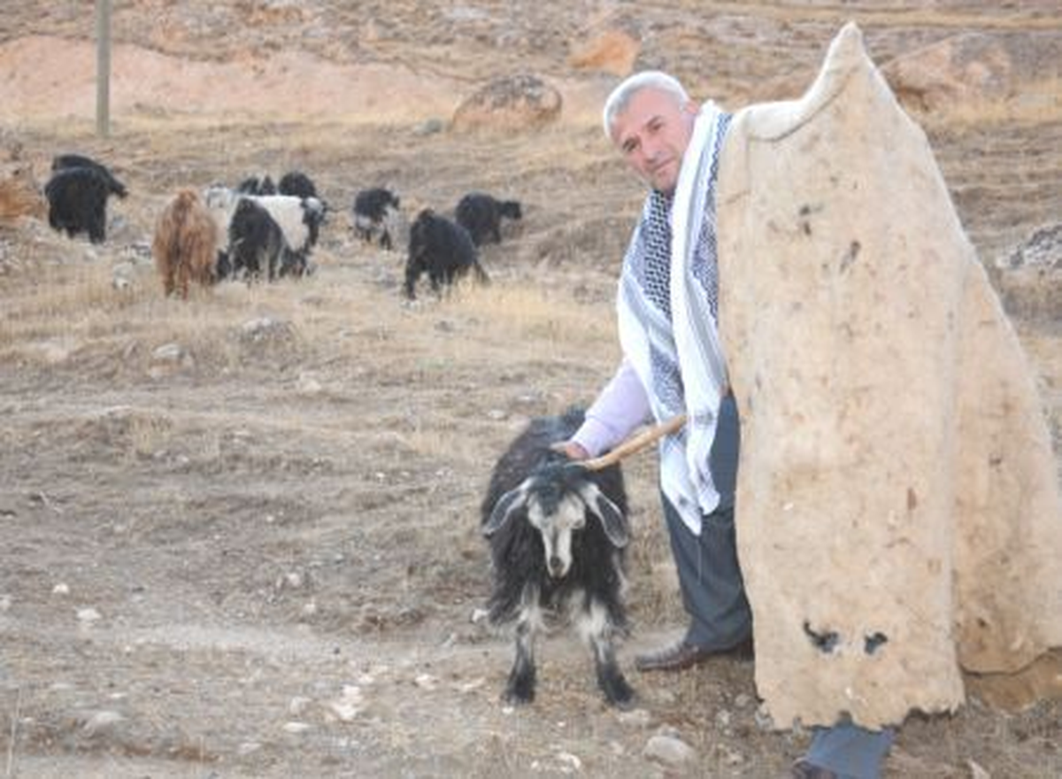 Çobanlıktan Siyasete Atıldı
