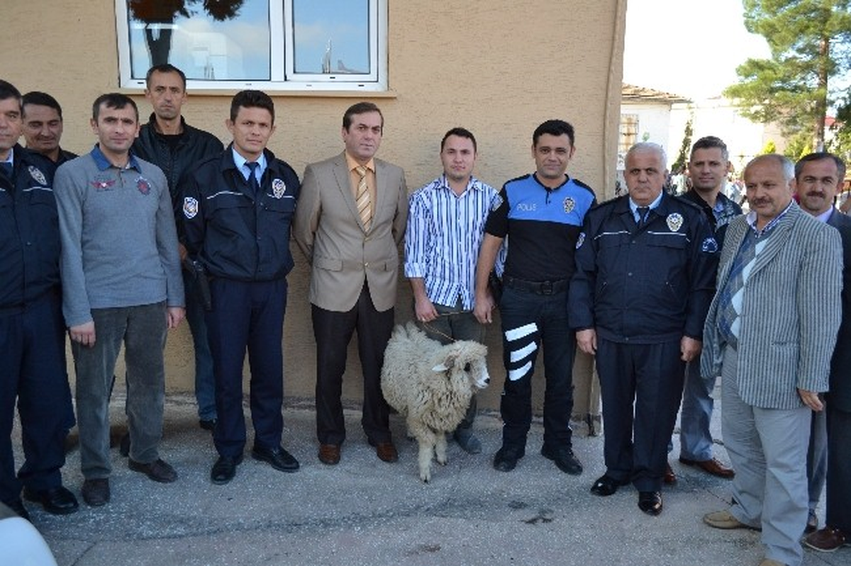 Emniyet Personeli, Kazalardan Korunmak İçin Kurban Kesti