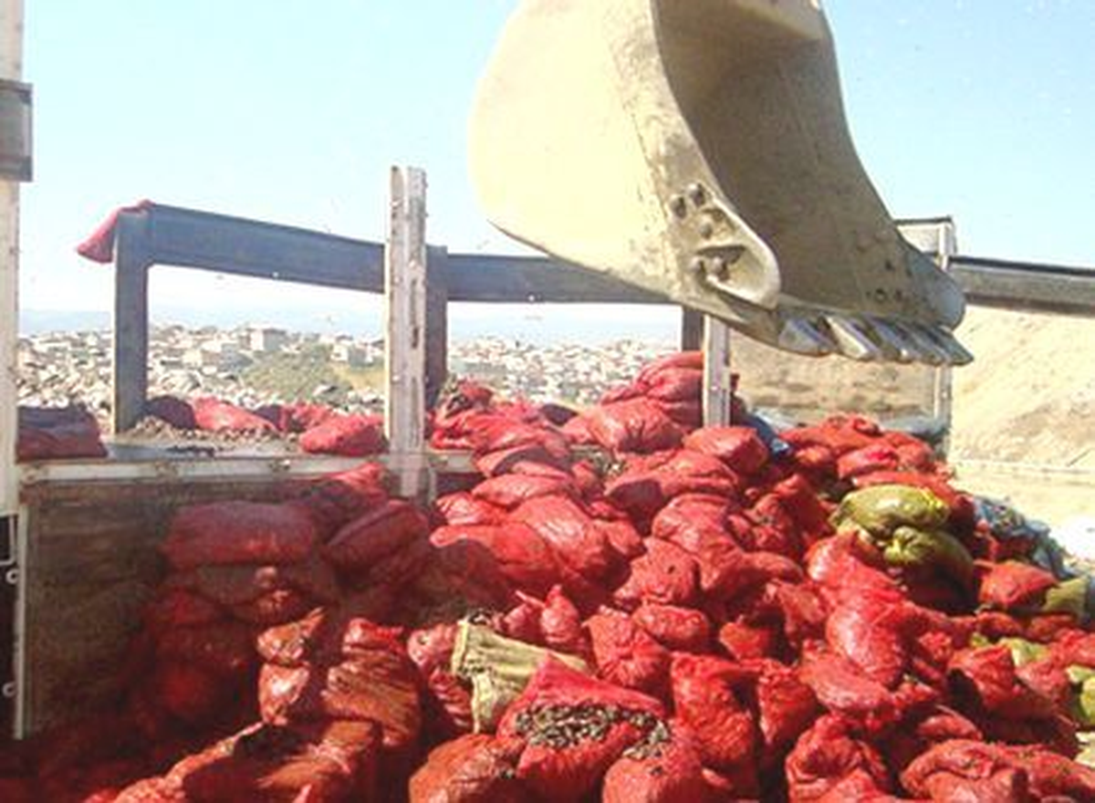 Gemlik\'te 4 Ton Kaçak Midye Ele Geçirildi