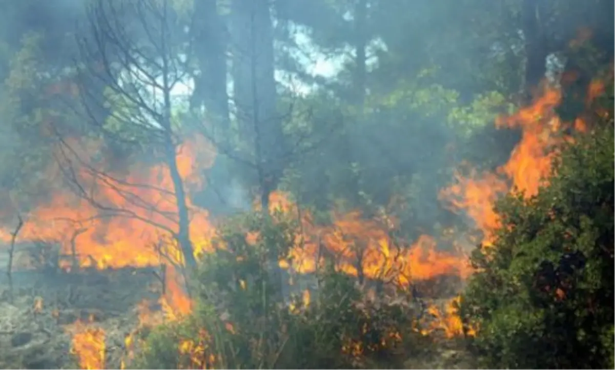 Karaman\'da Yangın Sezonu Sorunsuz Atlatıldı