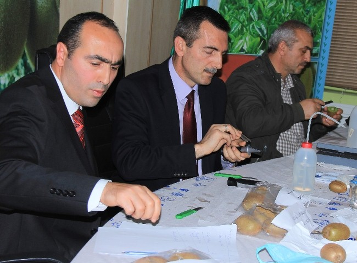 Kivi İçin En Erken Hasat 10 Kasım\'da Yapılacak