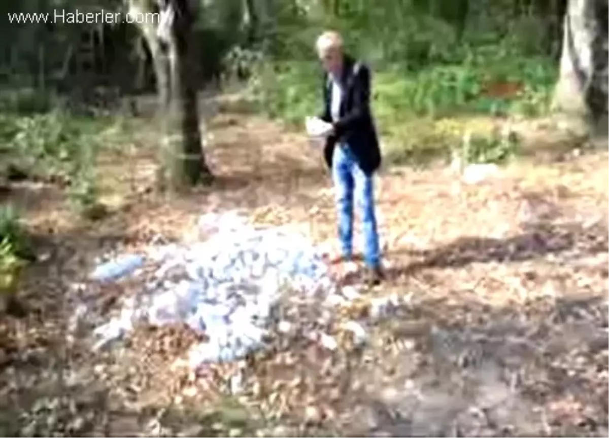 Koliler Dolusu Okul Sütü Ormanlık Alanda Bulundu