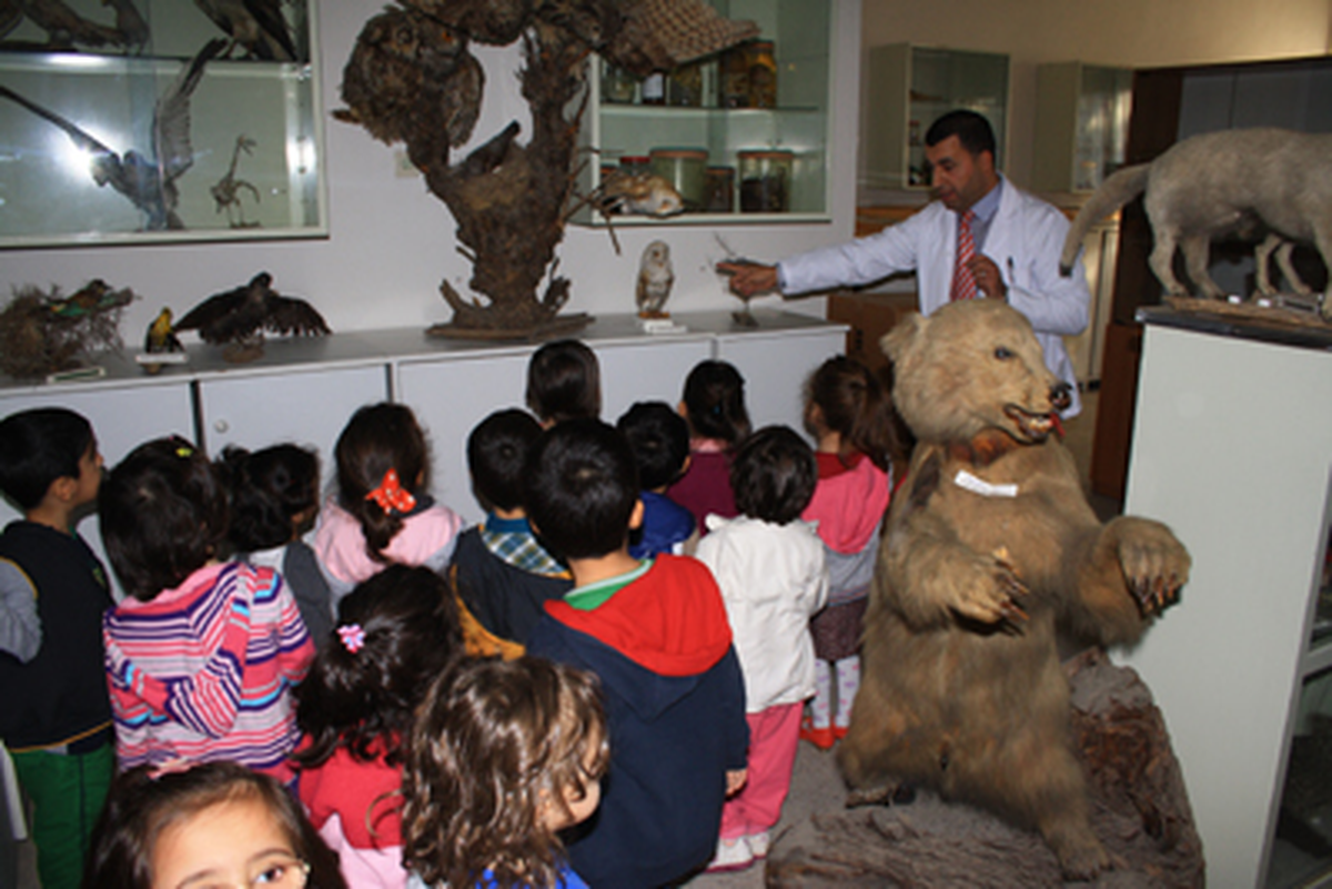 Minik Öğrenciler Zooloji Laboratuvarını Gezdi