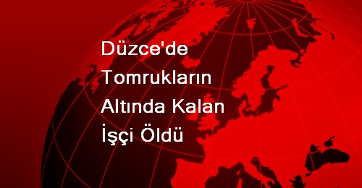 Düzce\'de Tomrukların Altında Kalan İşçi Öldü