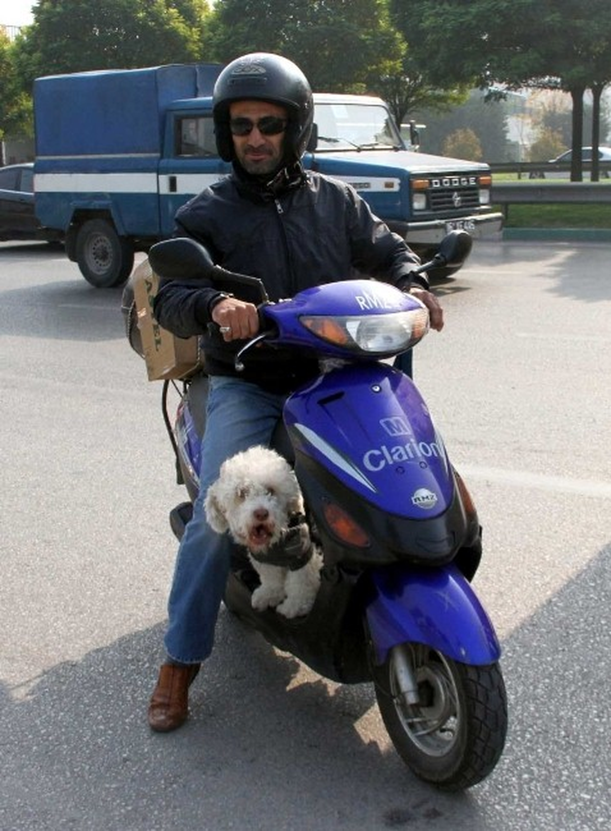 (Özel Haber) Köpeğin Motosiklet Keyfi
