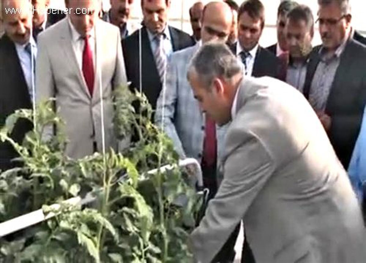 Petrol kuyularındaki sıcak su seraları ısıtacak