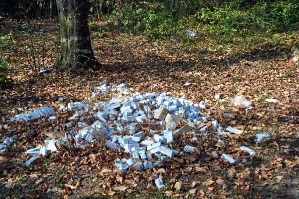 Tarihi Geçmiş Okul Sütlerini Ormana Attılar