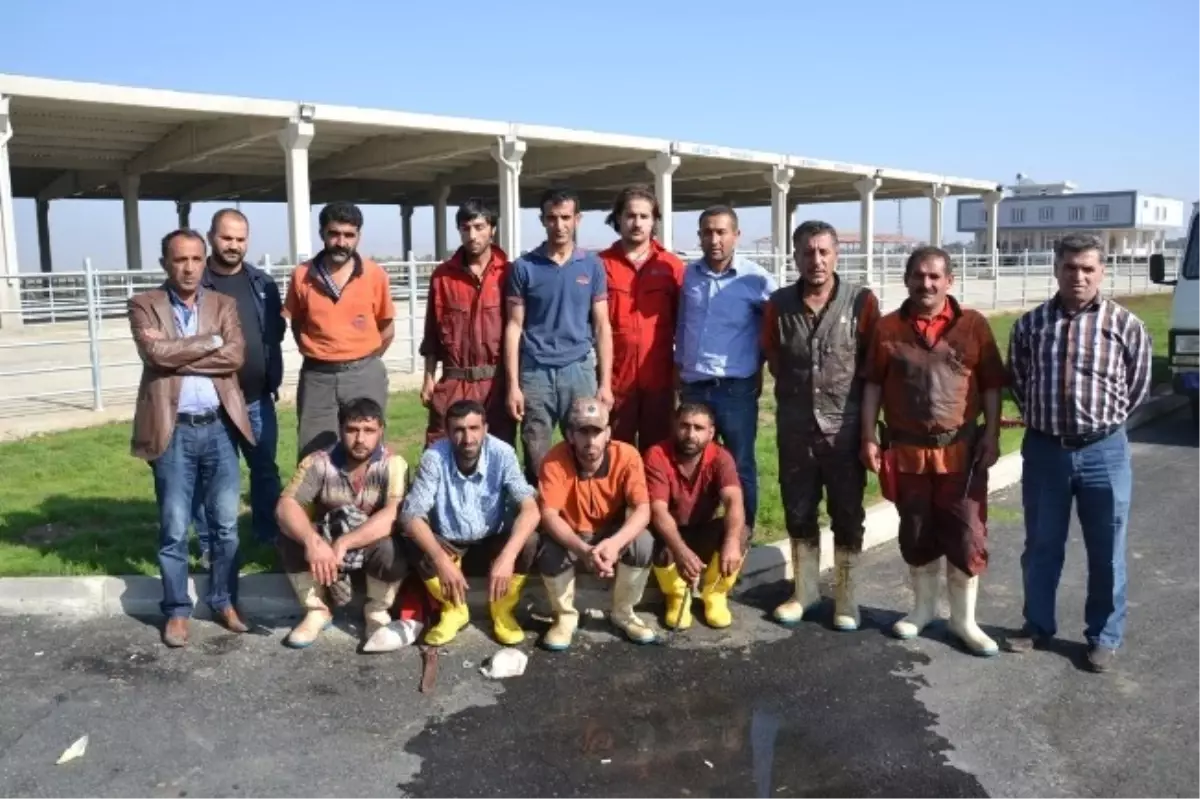 6 Milyonluk Et ve Entegre Tesisleri İflasın Eşiğinde