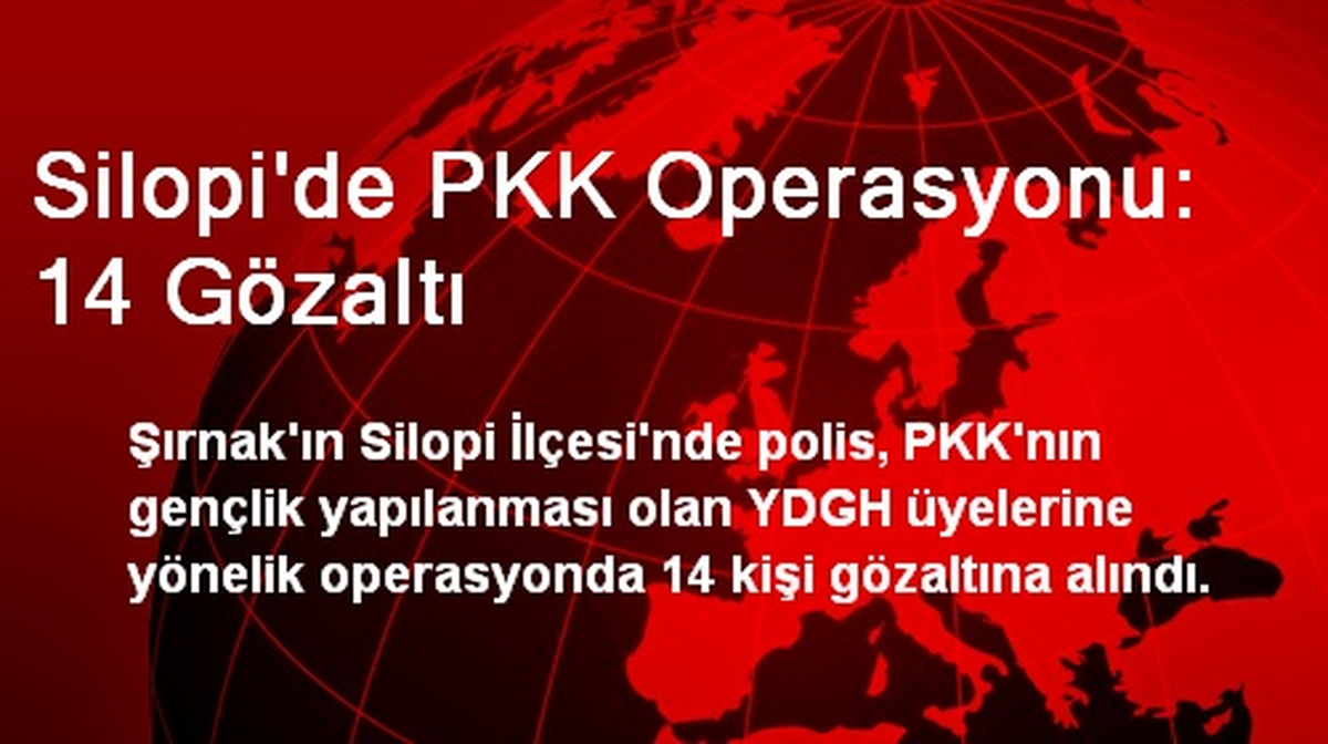 Silopi\'de PKK Operasyonu: 14 Gözaltı