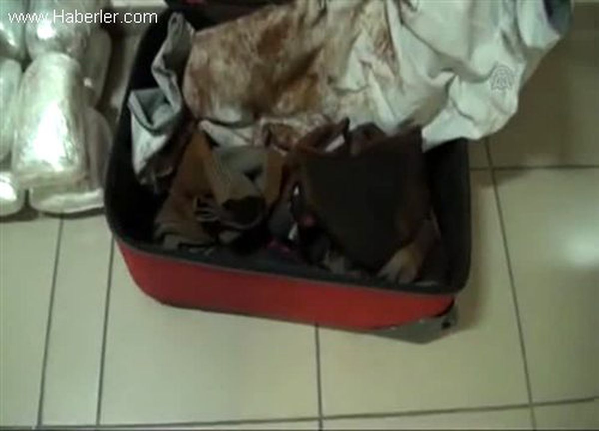 Yolcu otobüsünde 21 kilogram esrar ele geçirildi