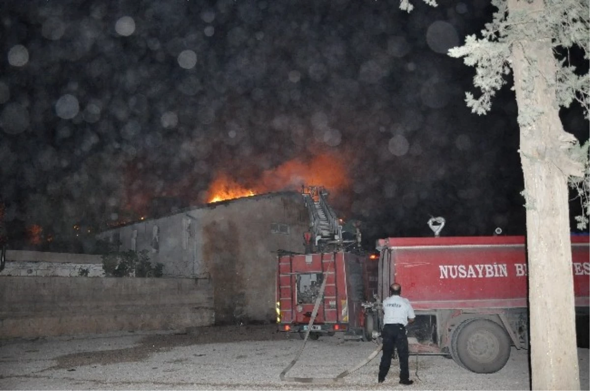 Nusaybin\'de Milli Emlak Müdürlüğü\'ne Ait Binanın Çatısında Yangın