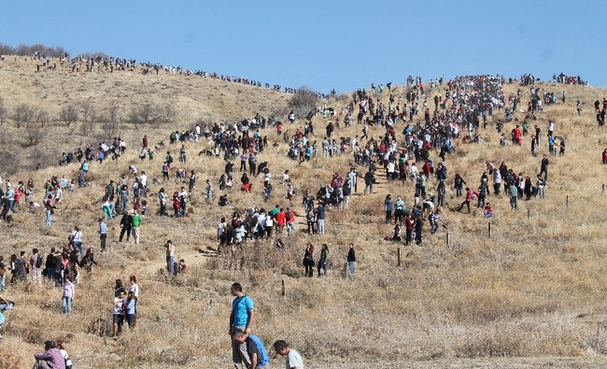 Odtüden Ağaç Dikme Şenliği