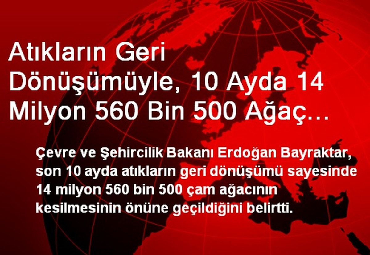 Geri Dönüşümle, 10 Ayda 14 Milyon Ağaç Kurtarıldı