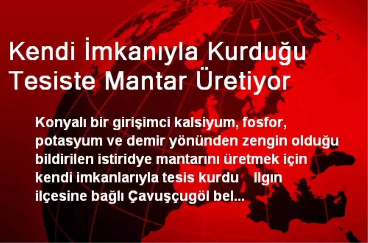 Kendi İmkanıyla Kurduğu Tesiste Mantar Üretiyor