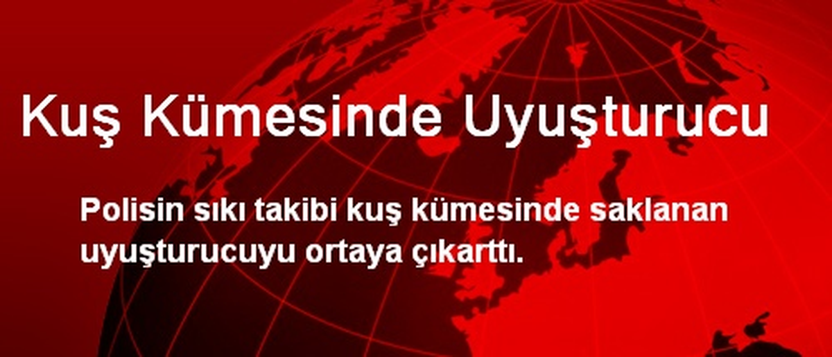 Kuş Kümesinde Uyuşturucu