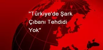 'Türkiye'de Şark Çıbanı Tehdidi Yok'