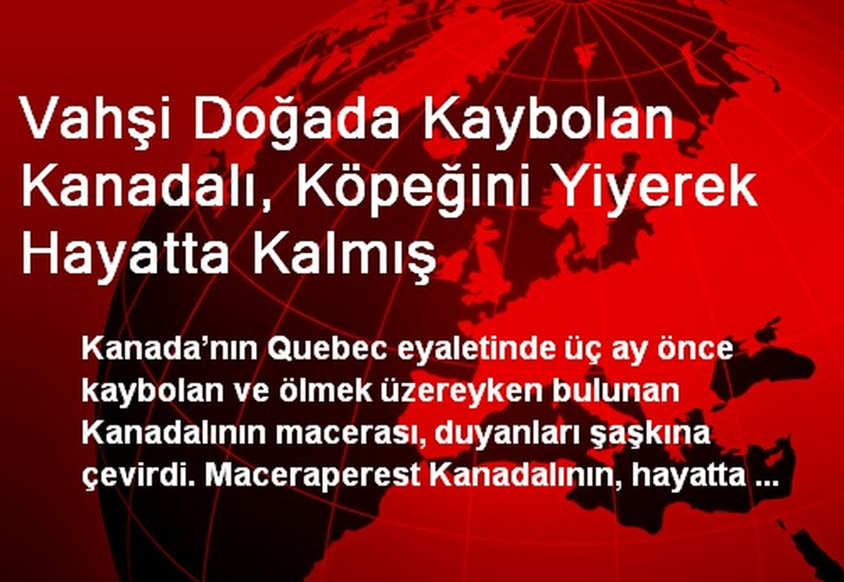 Vahşi Doğada Kaybolan Kanadalı, Köpeğini Yiyerek Hayatta Kalmış