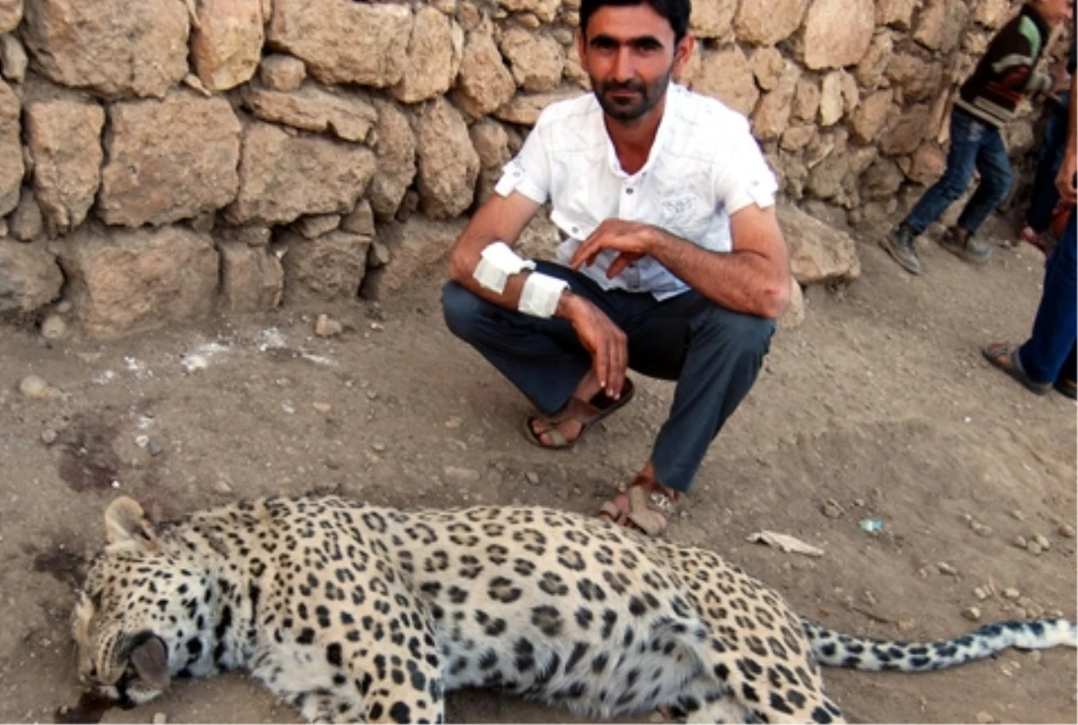 Diyarbakır\'da Leoparın Öldürüldüğü Yerde İnceleme Yapıldı