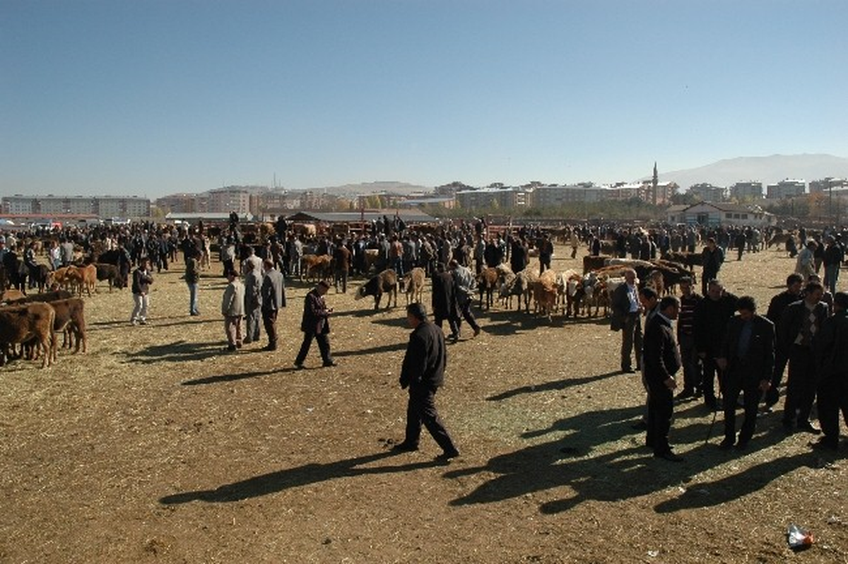 Hayvan Pazarlarındaki Hareketlilik Kurban Bayramını Aratmadı