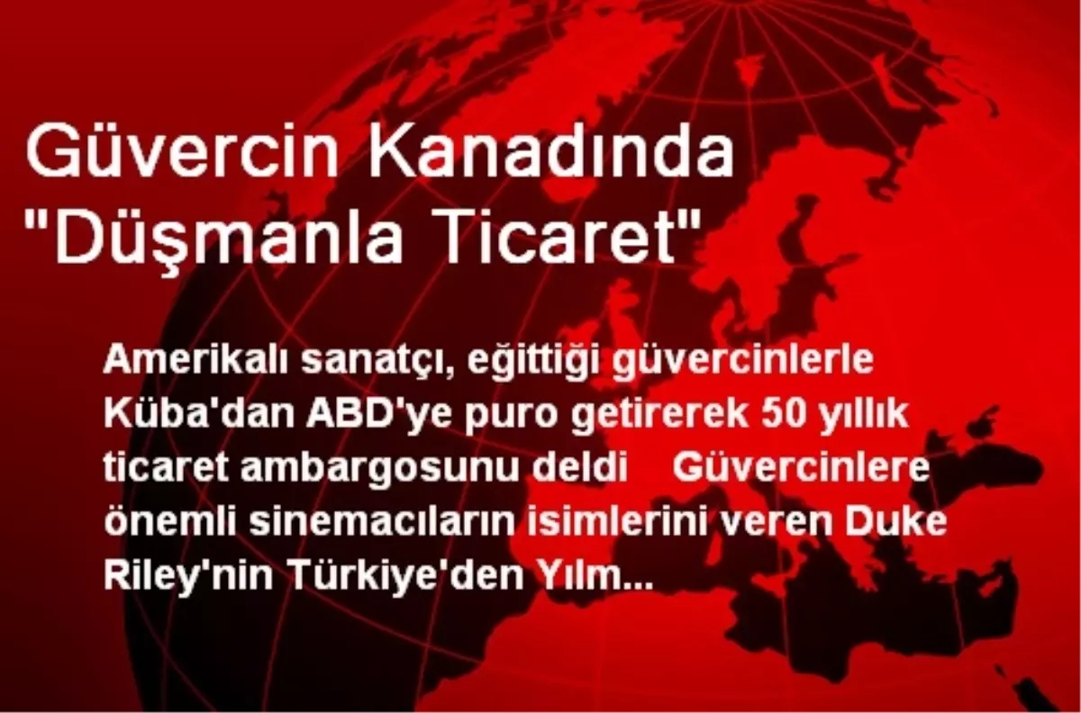 Güvercin Kanadında "Düşmanla Ticaret"