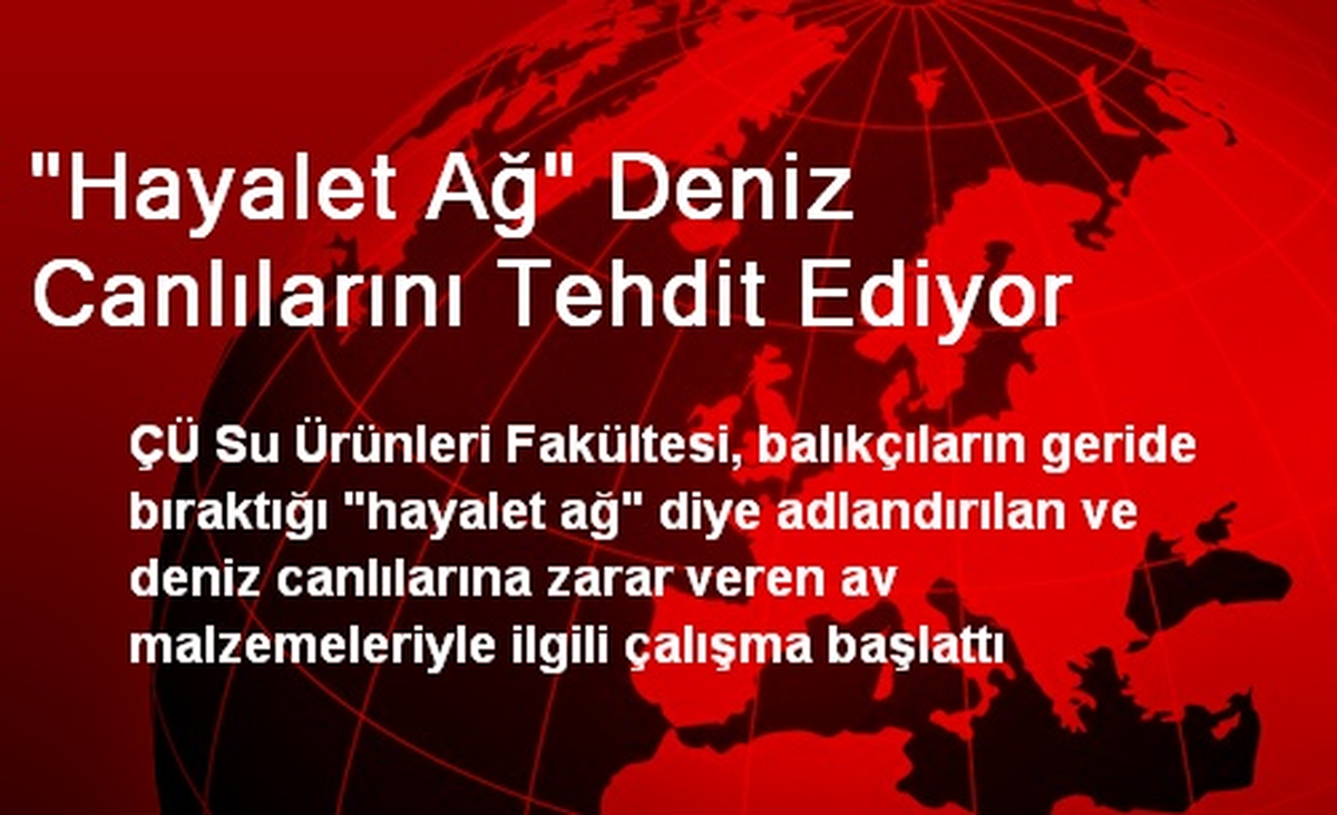 "Hayalet Ağ" Deniz Canlılarını Tehdit Ediyor