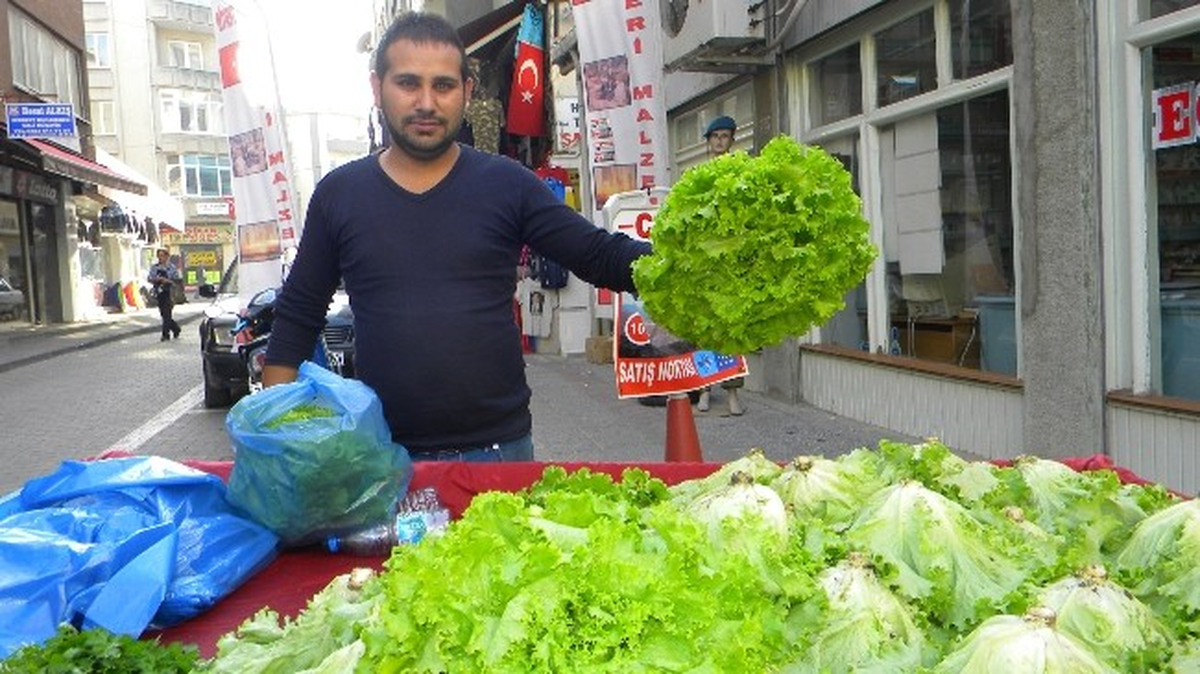 Seracılık Projesi Meyvelerini Vermeye Başladı