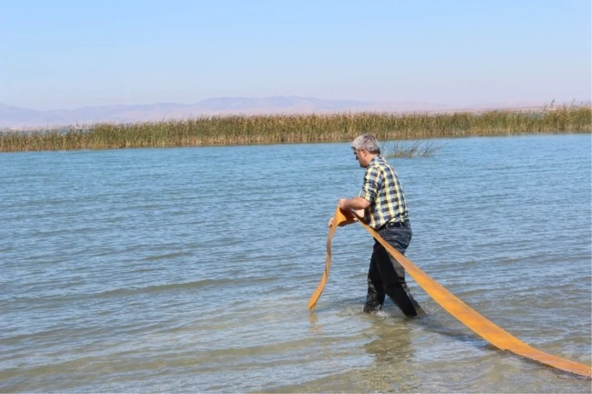 Soğuk Sular Beyşehir Gölü\'nün Balıklarını Tehdit Ediyor