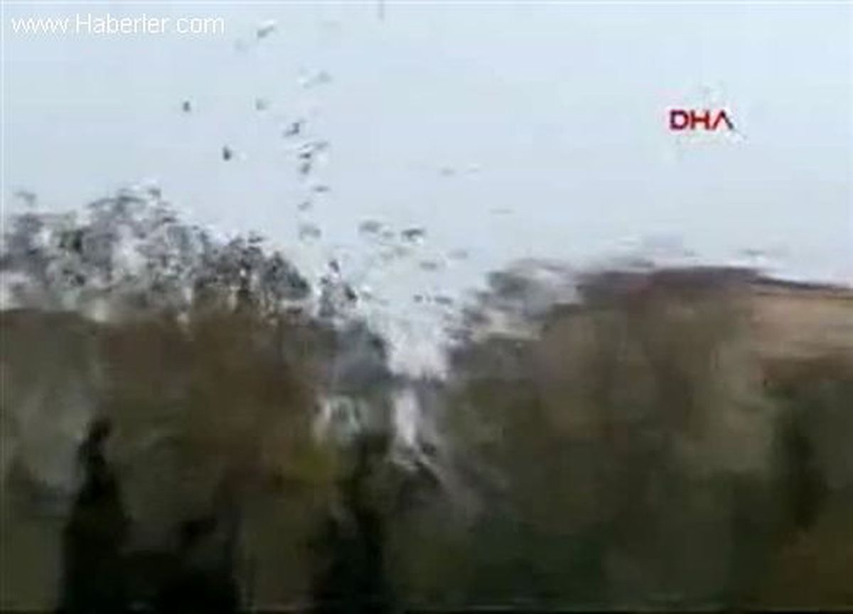 Sultanbeyli\'de Karga İstilası
