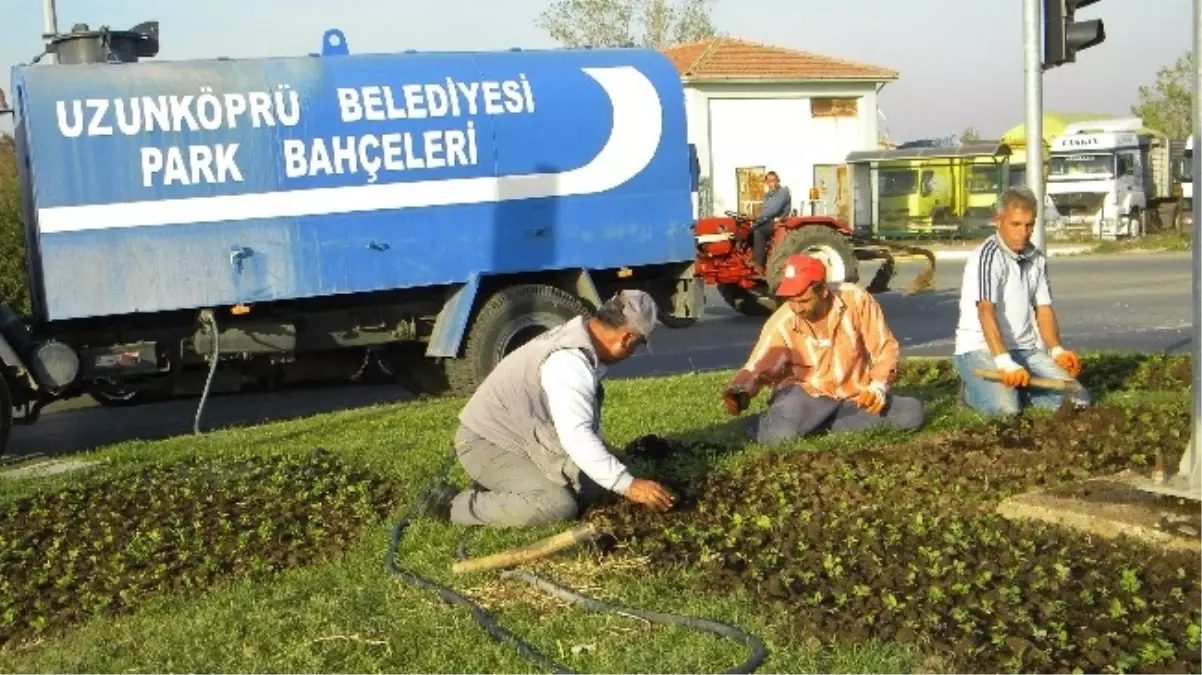 200 Bin Adet Çiçek Dikilecek