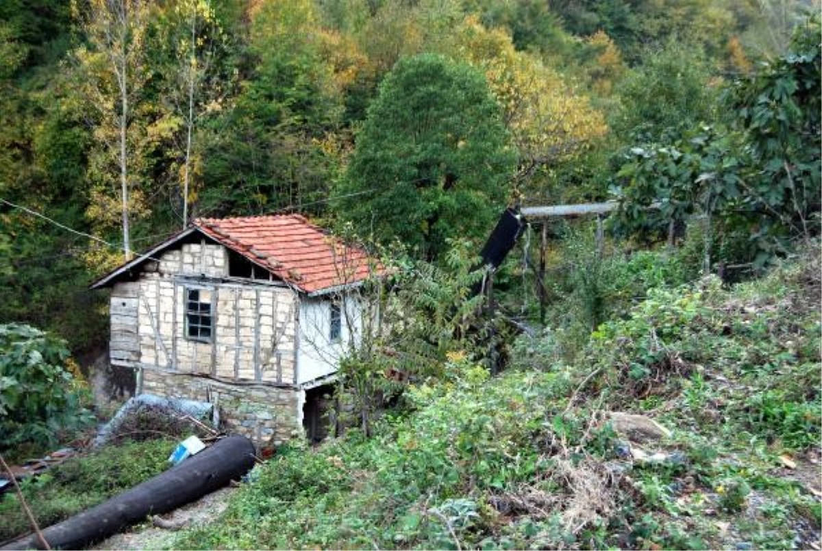 40 Yıllık Su Değirmeni Hizmet Vermeye Devam Ediyor