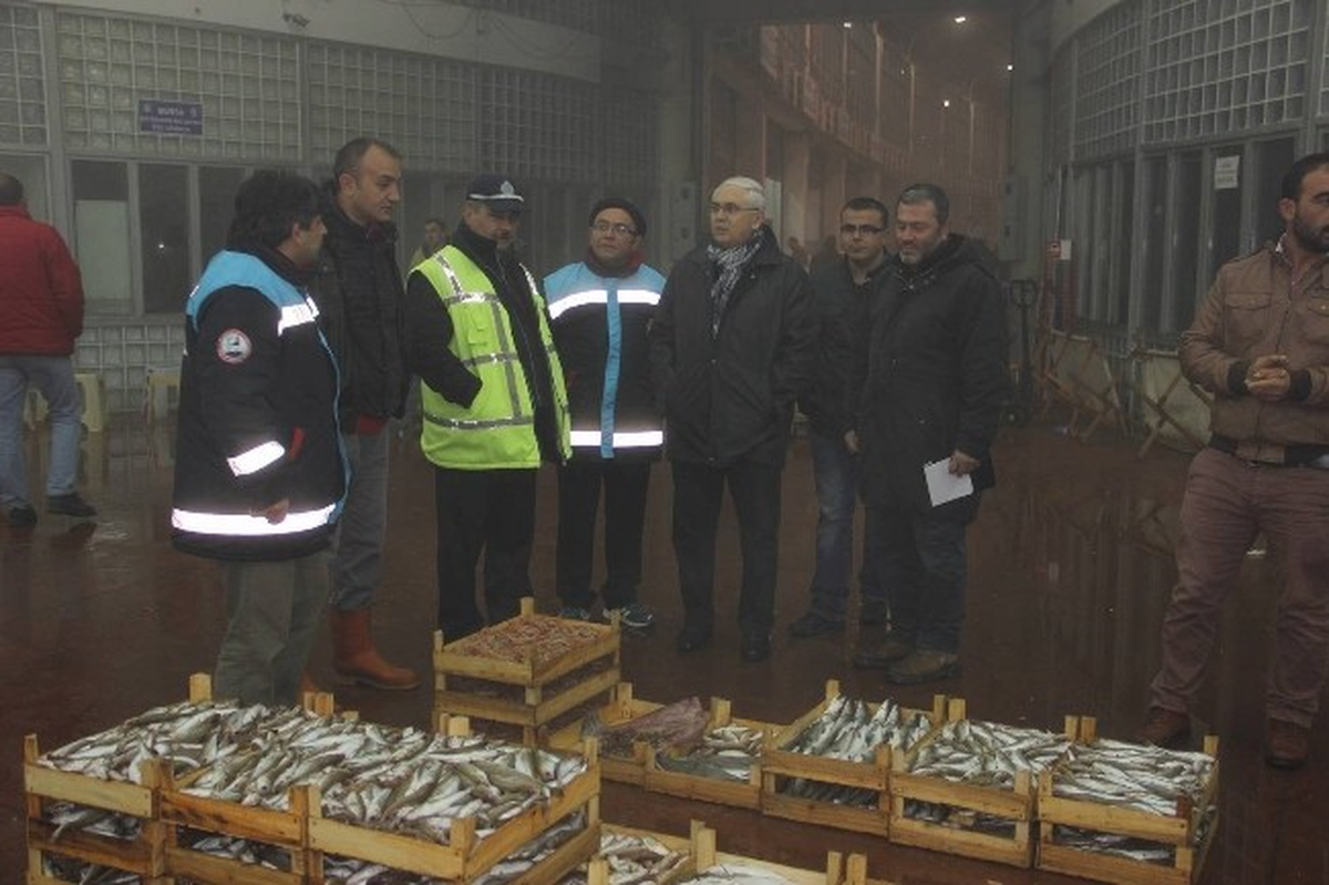Balık Haline Gece Baskını