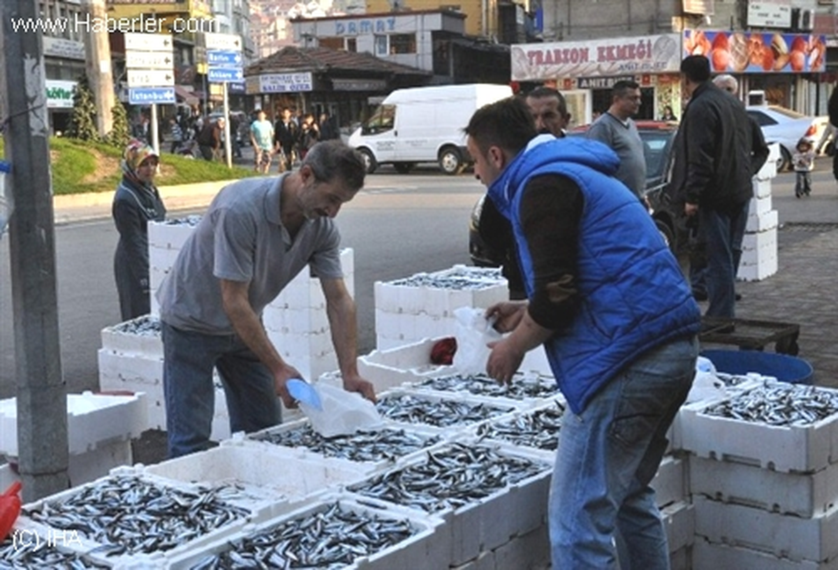 Canlı Müzik Eşliğinde Hamsi Satıyorlar