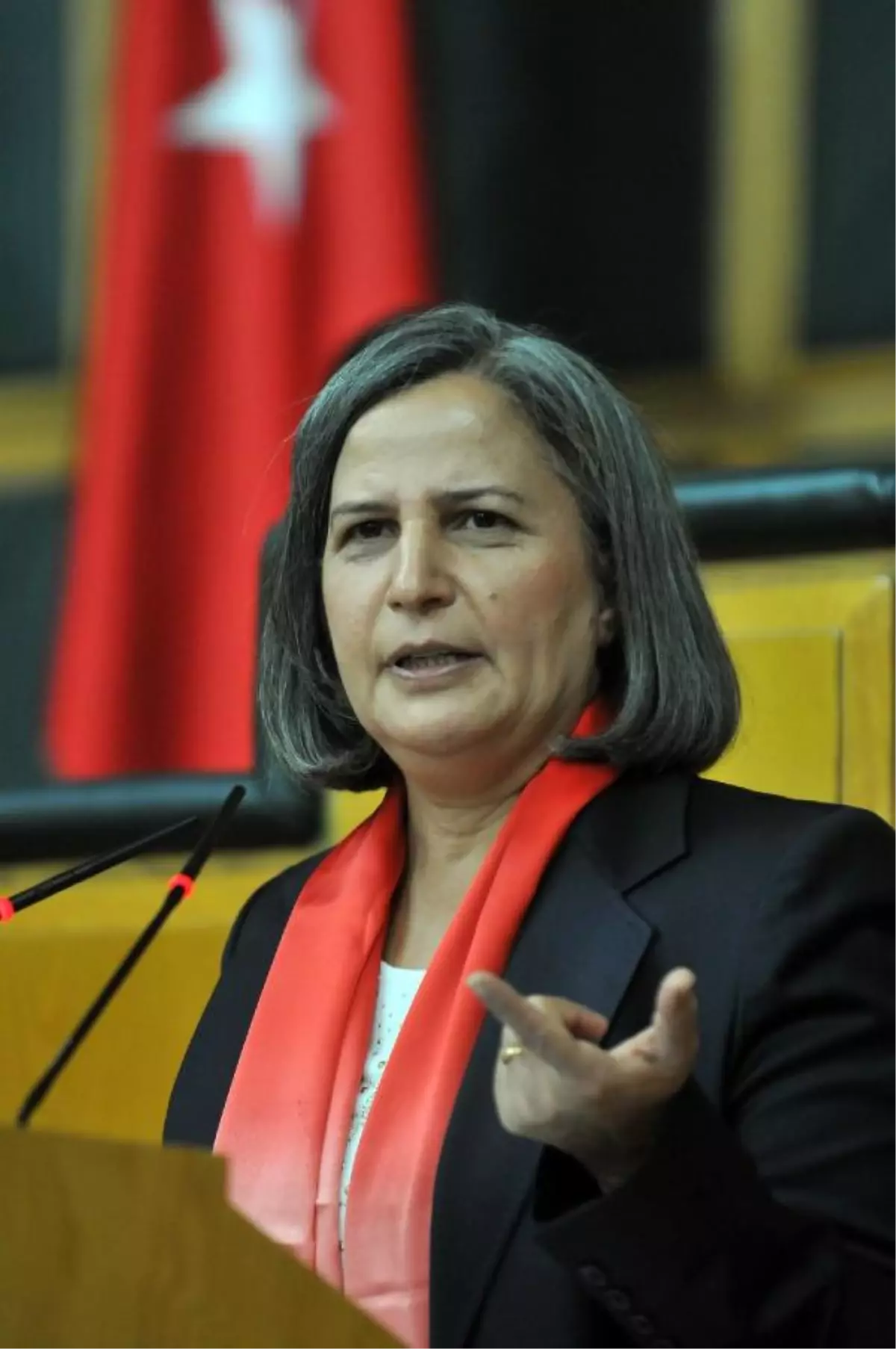 Kışanak : Bu Duvarın Örülmesinin Hiçbir Geçerli Gerekçesi Olamaz