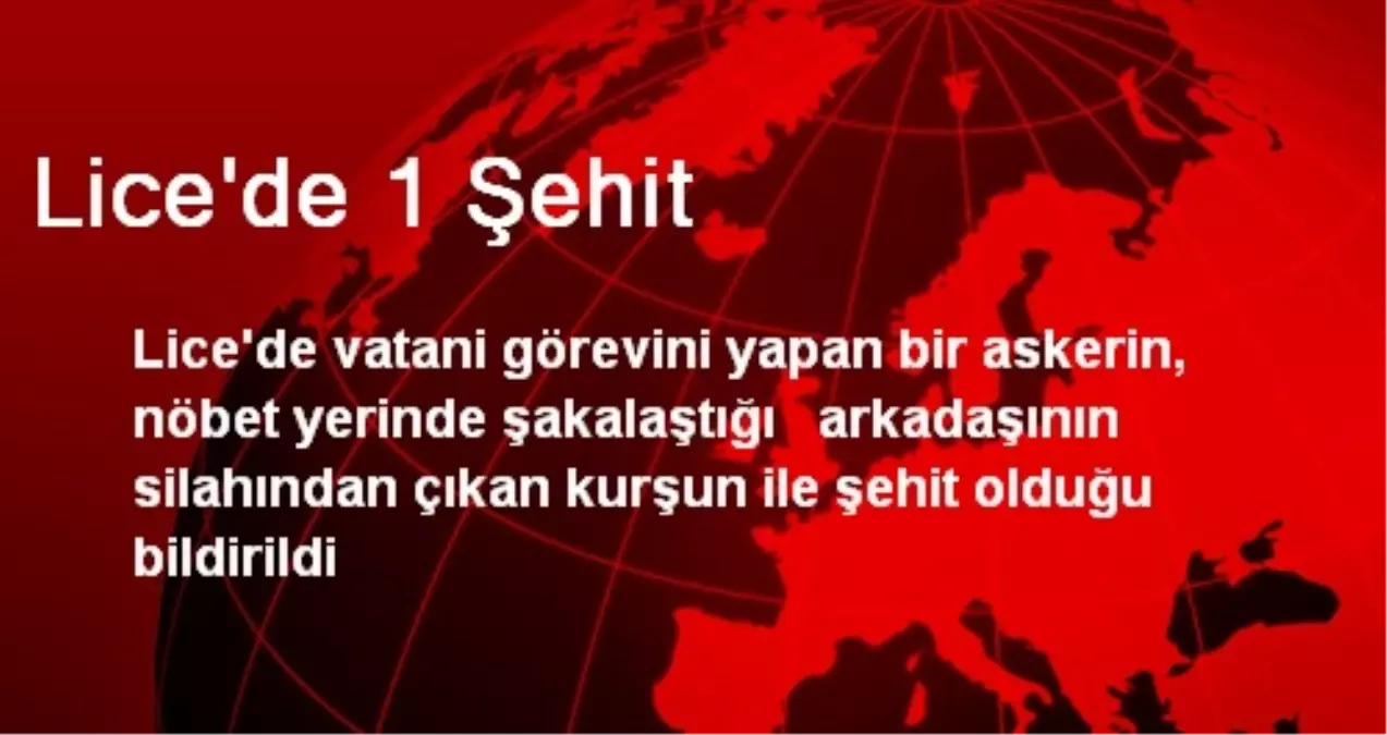 Lice\'de 1 Şehit