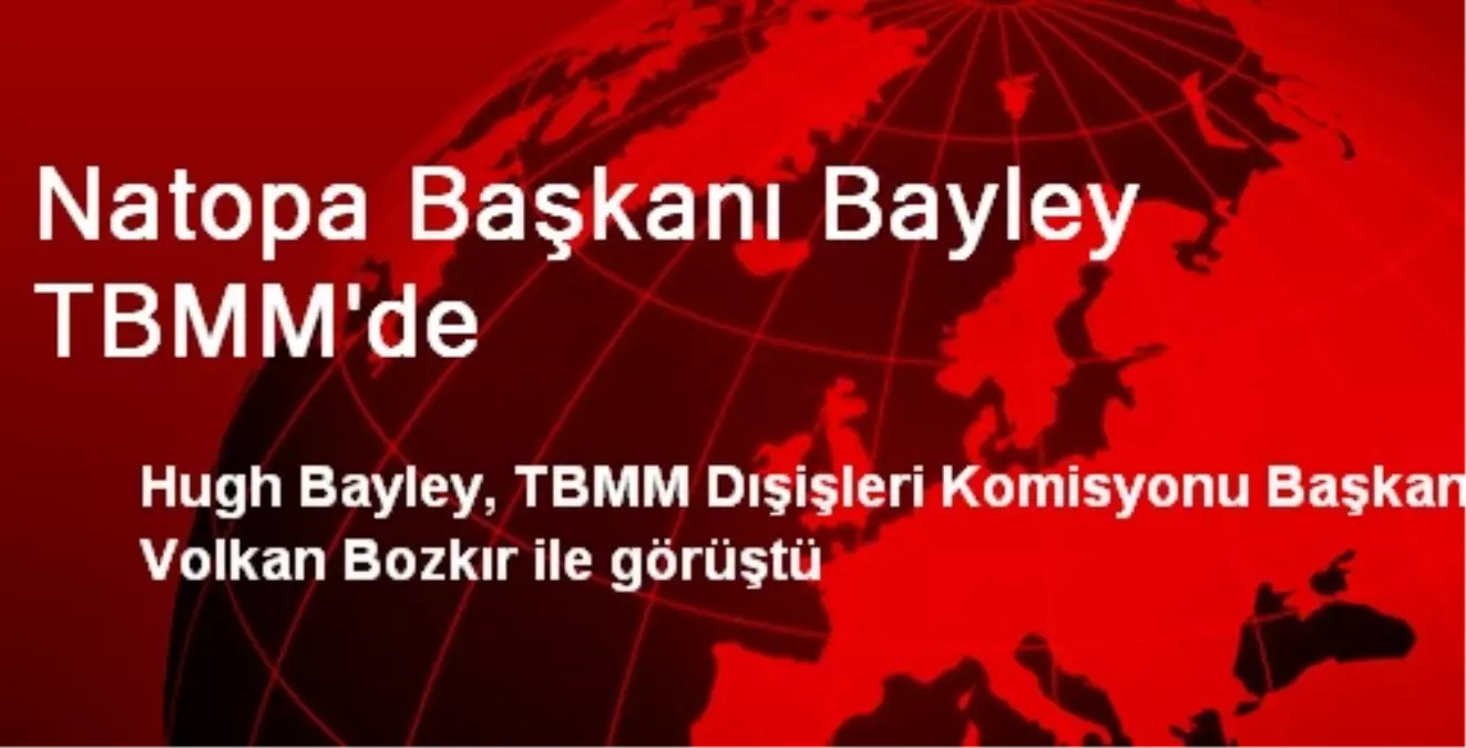 Natopa Başkanı Bayley TBMM\'de