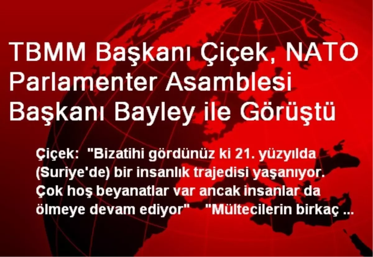 TBMM Başkanı Çiçek, NATO Parlamenter Asamblesi Başkanı Bayley ile Görüştü